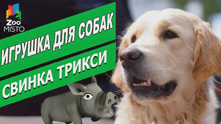Игрушка для собак Свинка Трикси Обзор игрушки Трикси Trixie Pig   Dog Toy review