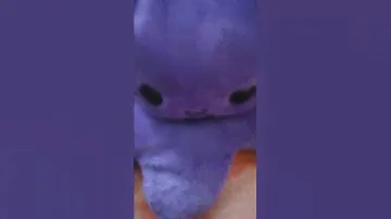 Ей ей ей ей ееееййй.......... ттутутт туту туту......... Ббеебебебедчыоадсш