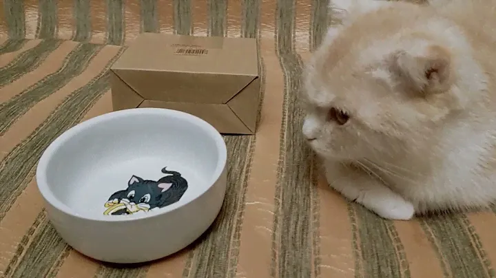 Trixie миска для котят