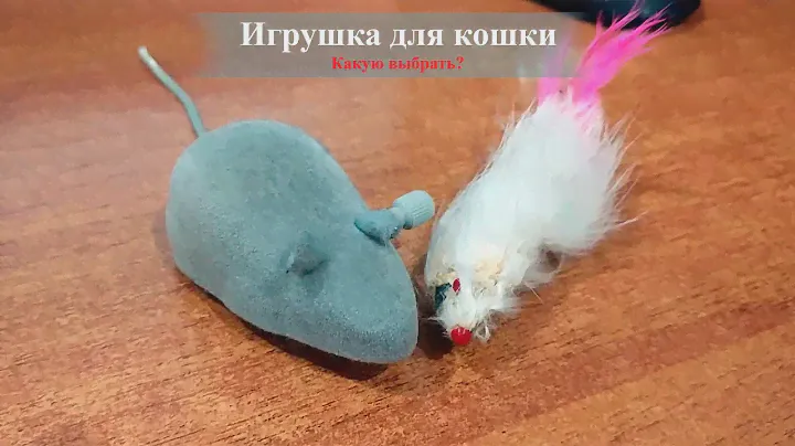 Игрушка для кошки | Какую мышку выбрать? 🤔 | Так и Живём | 06.01.2022