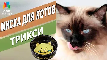 Миска для котов Трикси | Миска Обзор миски Трикси | Trixie bowl for cats review