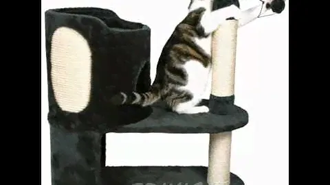 Игровые комплексы для кошек Trixie.wmv