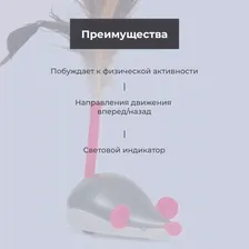 HiPet Игрушка на радиоуправлении для кошек Мышка с перьями, мышка 7,5х4,5х14 см, пульт 9,5х6х3 см