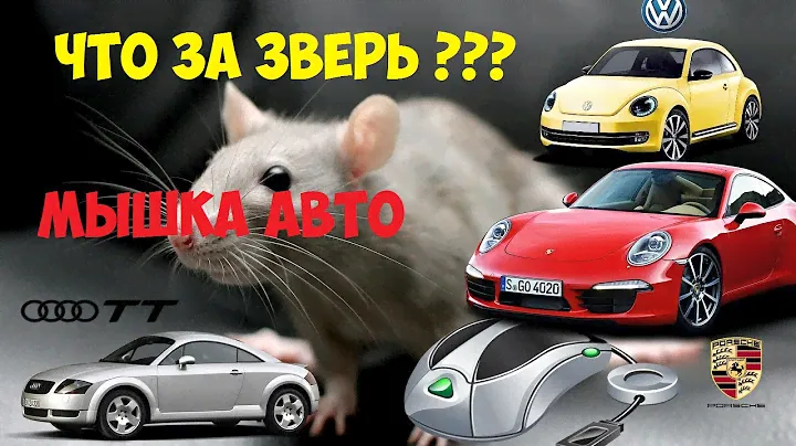 Угадай? Мышка Машина Посылка из Китая AliExpress