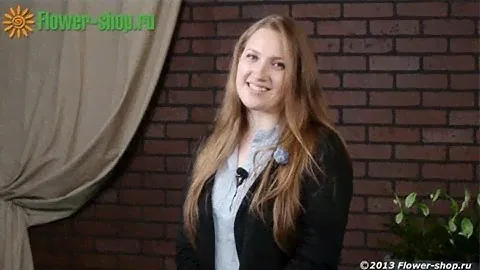 Трейлер канала Flower-shop.ru